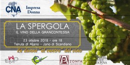 La spergola: dal vino della grancontessa Matilde al vitigno ritrovato