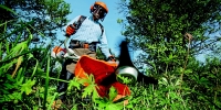 Ti piacerebbe lavorare a contatto con la natura?